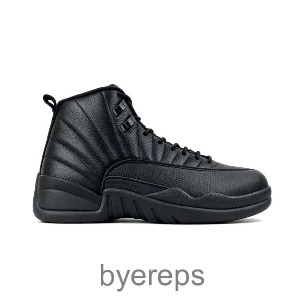 Air Jordan 12 Retro Psny Black